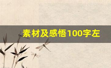 素材及感悟100字左右