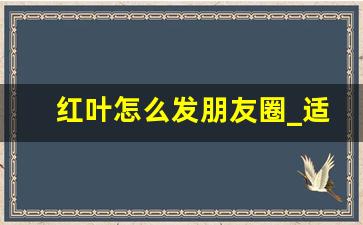 红叶怎么发朋友圈_适合红枫的文案