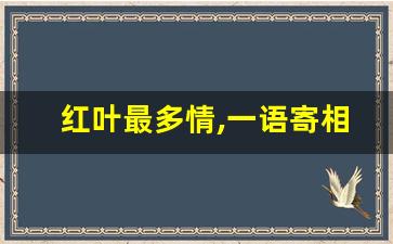 红叶最多情,一语寄相思全诗_红叶相思浪漫的诗