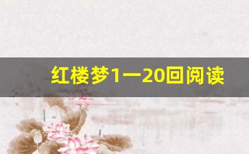 红楼梦1一20回阅读笔记_红楼梦每回概括150字