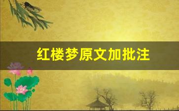 红楼梦原文加批注