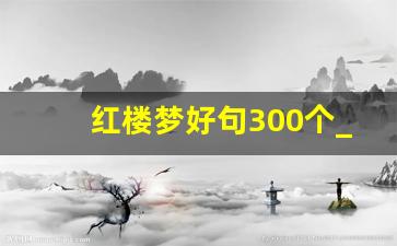 红楼梦好句300个_红楼梦的优美词汇1000个