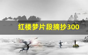 红楼梦片段摘抄300字_红楼梦节选摘抄300字以上