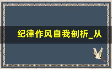 纪律作风自我剖析_从作风纪律方面剖析材料