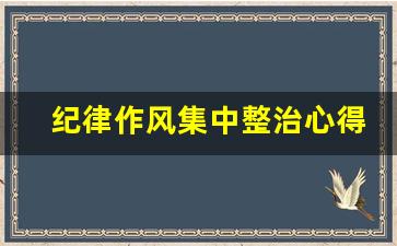 纪律作风集中整治心得体会