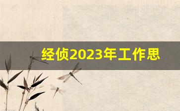 经侦2023年工作思路及措施