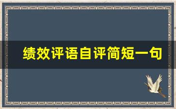 绩效评语自评简短一句话