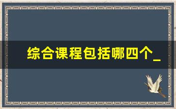 综合课程包括哪四个_领域教学活动是什么