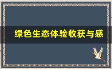 绿色生态体验收获与感悟