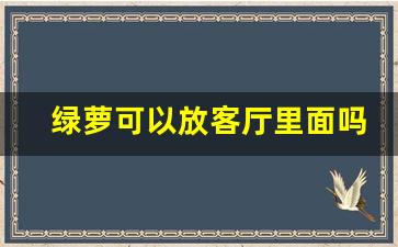 绿萝可以放客厅里面吗_绿萝放在客厅图片