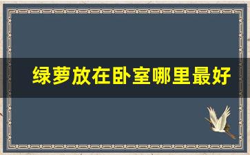 绿萝放在卧室哪里最好_绿萝放在房间哪个位置好