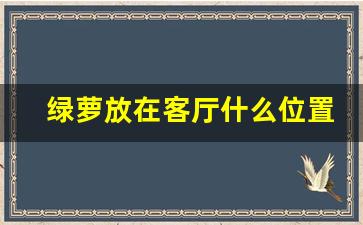 绿萝放在客厅什么位置_绿萝放在卧室哪里最好