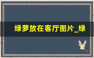 绿萝放在客厅图片_绿萝可以放在客厅吗