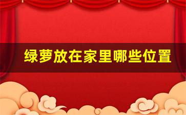 绿萝放在家里哪些位置风水好_绿萝摆放位置风水最好