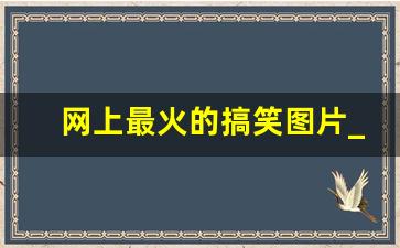 网上最火的搞笑图片_搞笑图片沙雕图片