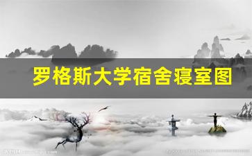 罗格斯大学宿舍寝室图片_罗格斯大学怎么样