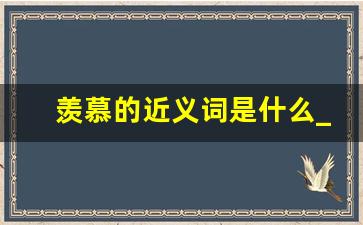 羡慕的近义词是什么_引起羡慕的词语