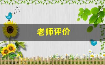 老师评价