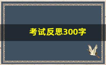 考试反思300字