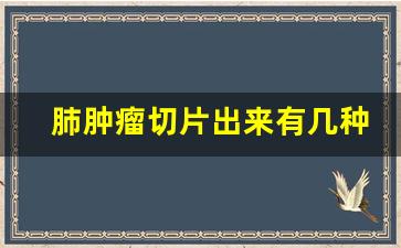 肺肿瘤切片出来有几种可能_肺部肿瘤有良性的吗