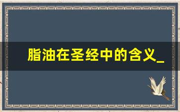 脂油在圣经中的含义_头生的和羊的脂油