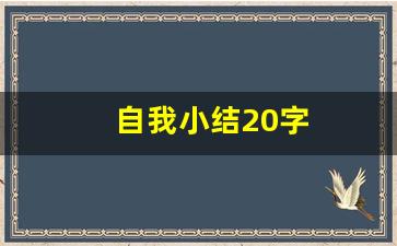 自我小结20字