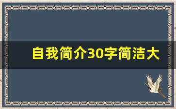 自我简介30字简洁大气_个人简历30字左右精辟