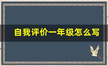 自我评价一年级怎么写_小学生的自我评价