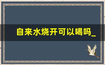 自来水烧开可以喝吗_自来水烧开以后能喝吗