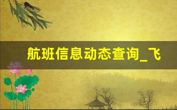 航班信息动态查询_飞机航班动态实时查询app