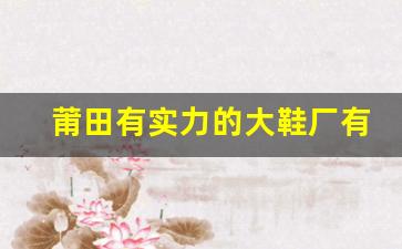 莆田有实力的大鞋厂有哪些_莆田十大自主品牌