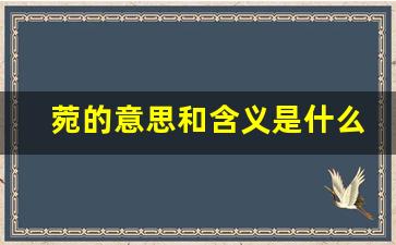 菀的意思和含义是什么_菀的寓意