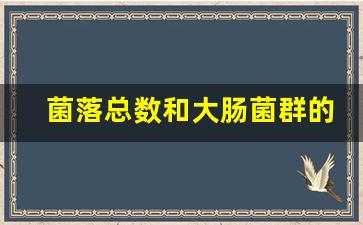 菌落总数和大肠菌群的关系_大肠菌群是什么原因引起的