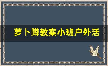 萝卜蹲教案小班户外活动_中班体育游戏萝卜蹲教案