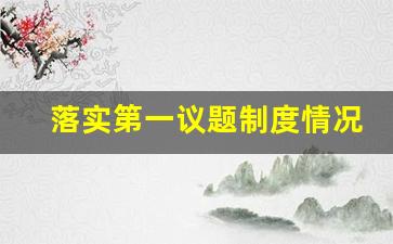 落实第一议题制度情况_怎样落实第一议题