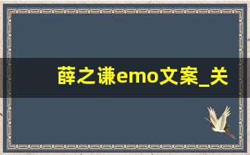 薛之谦emo文案_关于老薛的文案