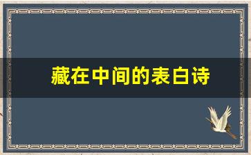 藏在中间的表白诗