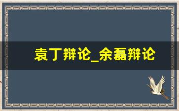 袁丁辩论_余磊辩论