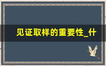 见证取样的重要性_什么是见证取样