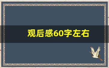 观后感60字左右