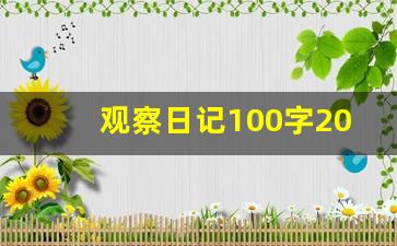 观察日记100字20篇_观察日记10字左右