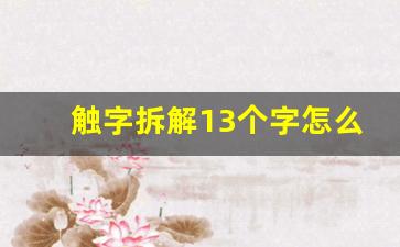 触字拆解13个字怎么写_触可拆解成多少个字