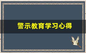 警示教育学习心得