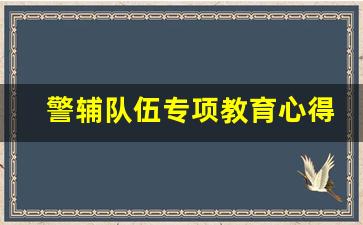 警辅队伍专项教育心得体会