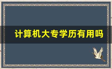 计算机大专学历有用吗_大专最无用的三个专业