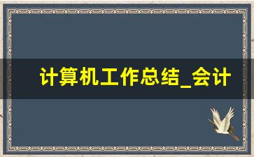 计算机工作总结_会计岗位个人工作总结