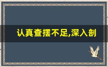 认真查摆不足,深入剖析问题