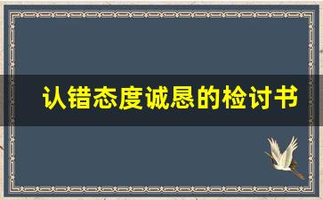 认错态度诚恳的检讨书_承认错误的检讨书1000字