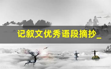 记叙文优秀语段摘抄_记叙文片段摘抄50字