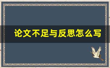 论文不足与反思怎么写